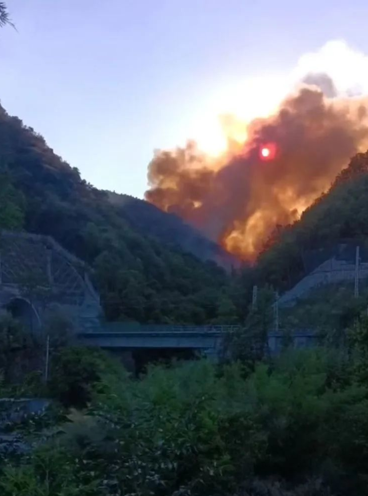 1661315547680486.png image.png