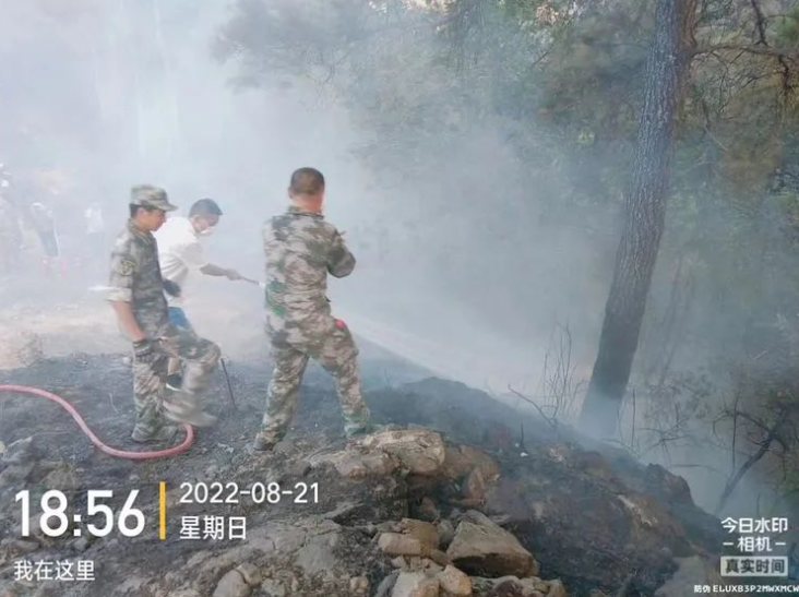 1661315730642183.png image.png