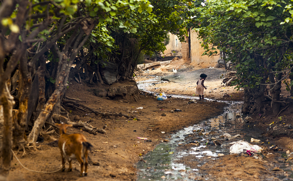 0033990����˹(�й�)���޹�˾ -Best Of Best