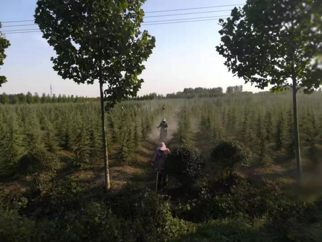 0033990威尼斯(中国)有限公司 -Best Of Best