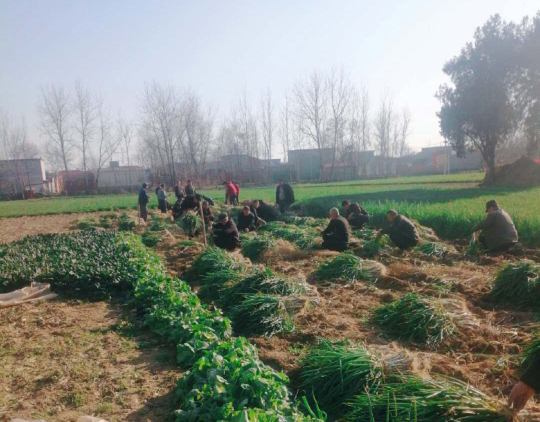 0033990����˹(�й�)���޹�˾ -Best Of Best