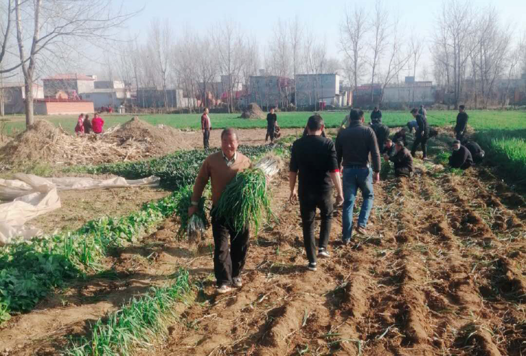 0033990����˹(�й�)���޹�˾ -Best Of Best